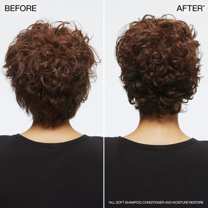 REDKEN Shampoo, for Dry Hair, Argan Oil, Intense Softness and Shine, All Soft